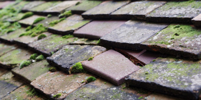 High Offley roof repair costs